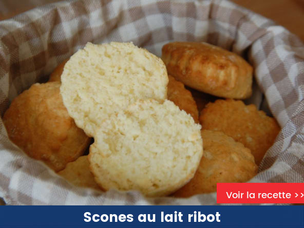 Scones au lait ribot
